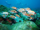 Pousada em Fernando de Noronha